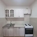 Apartment Mina