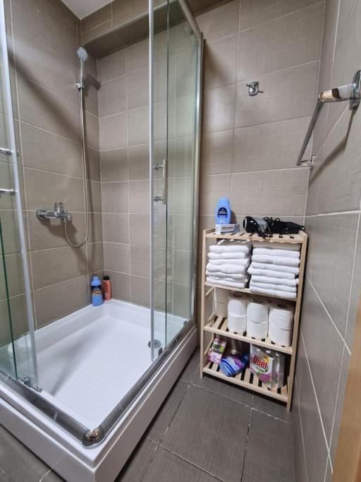 Mina Apartment Budva